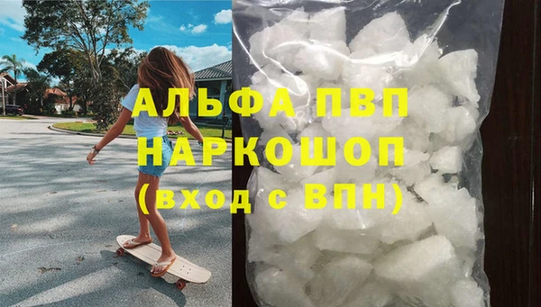 прущие грибы Семилуки