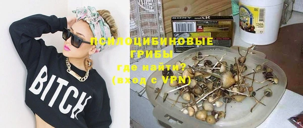 ГАЛЛЮЦИНОГЕННЫЕ ГРИБЫ Майский