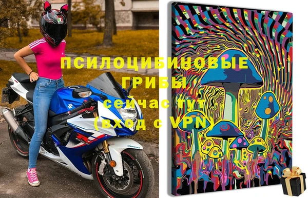 ГАЛЛЮЦИНОГЕННЫЕ ГРИБЫ Майский